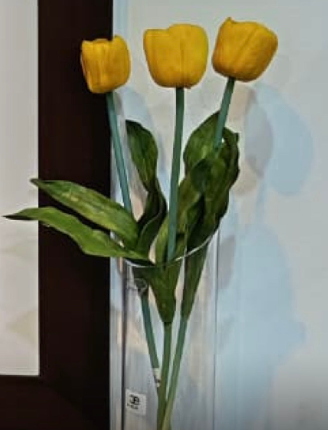 Tulipanes