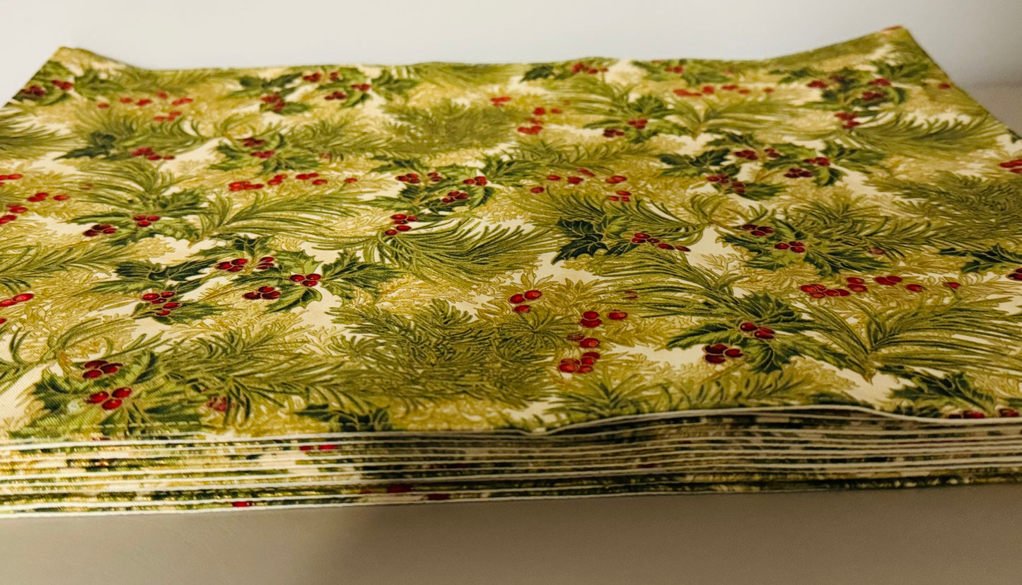 Indivuales Navideños