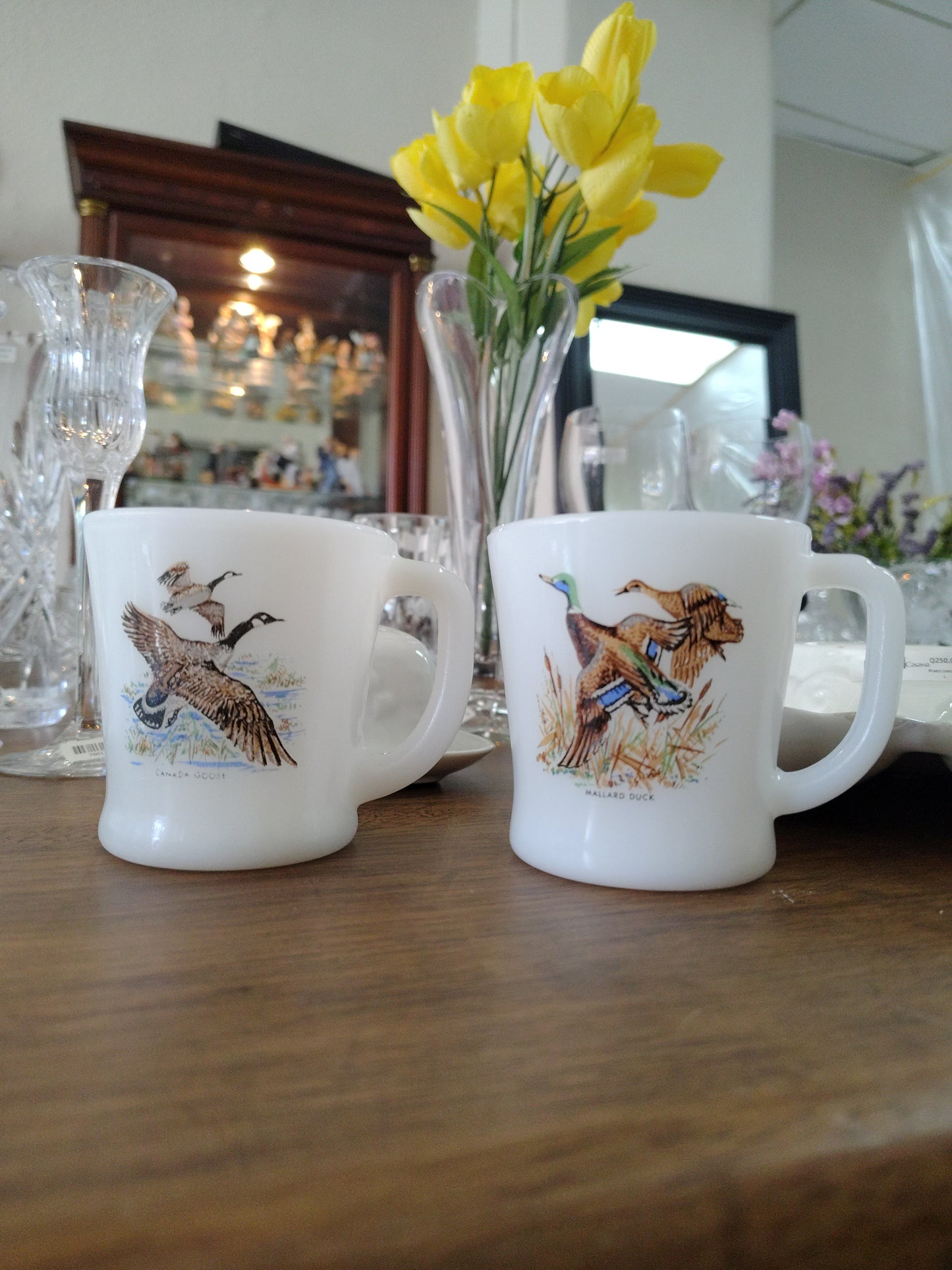 Tazas De Vidrio de Leche