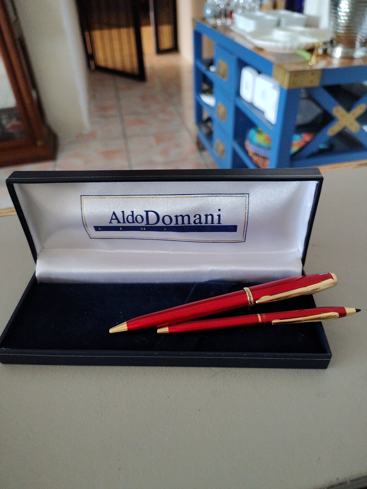 Plumas Aldo Domani Set.