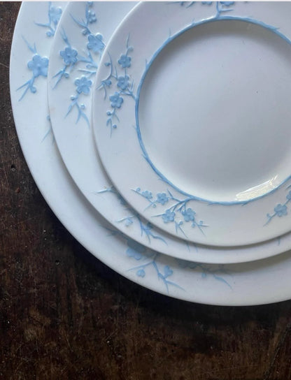 Vajilla vintage Spode de la colección Blanche de Chine, con el patrón Geisha Light Blue. Fabricada por Copeland China en Inglaterra entre 1952 y 1975. Su diseño registrado (número 785542) refleja la artesanía y precisión característica de la cerámica brit