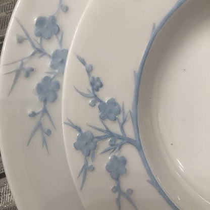 Vajilla vintage Spode de la colección Blanche de Chine, con el patrón Geisha Light Blue. Fabricada por Copeland China en Inglaterra entre 1952 y 1975. Su diseño registrado (número 785542) refleja la artesanía y precisión característica de la cerámica brit