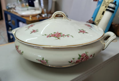 Bowl o fuente para sopa de porcelana