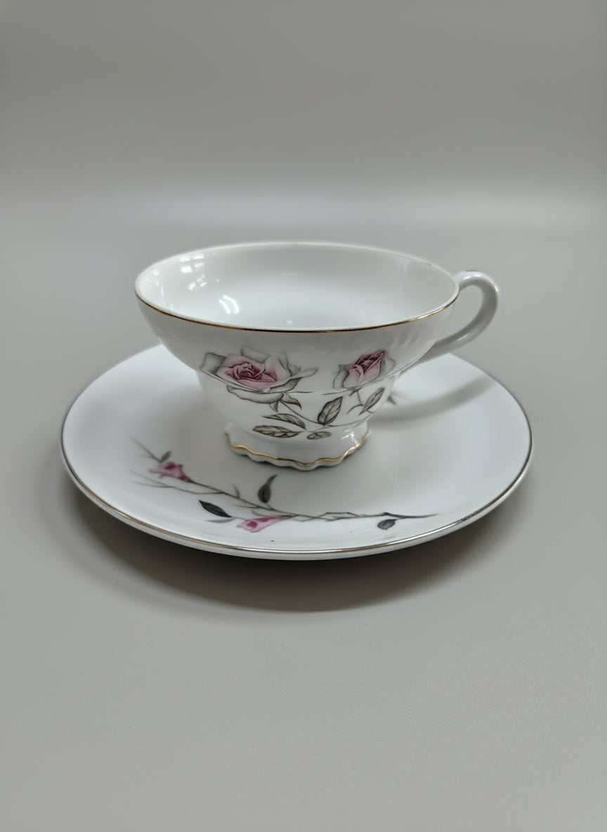 Memorias en Porcelana