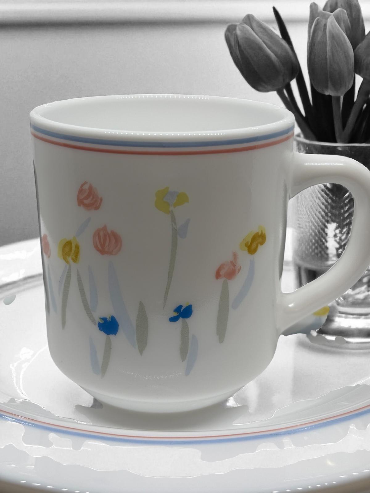 Vajilla Vintage Arcopal Pastora