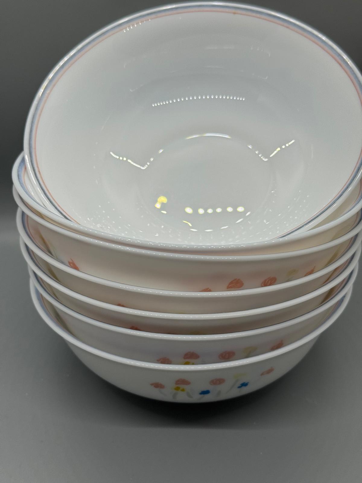 Vajilla Vintage Arcopal Pastora