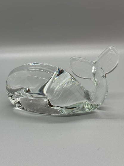 Pisa Papel Glass Moby Dick