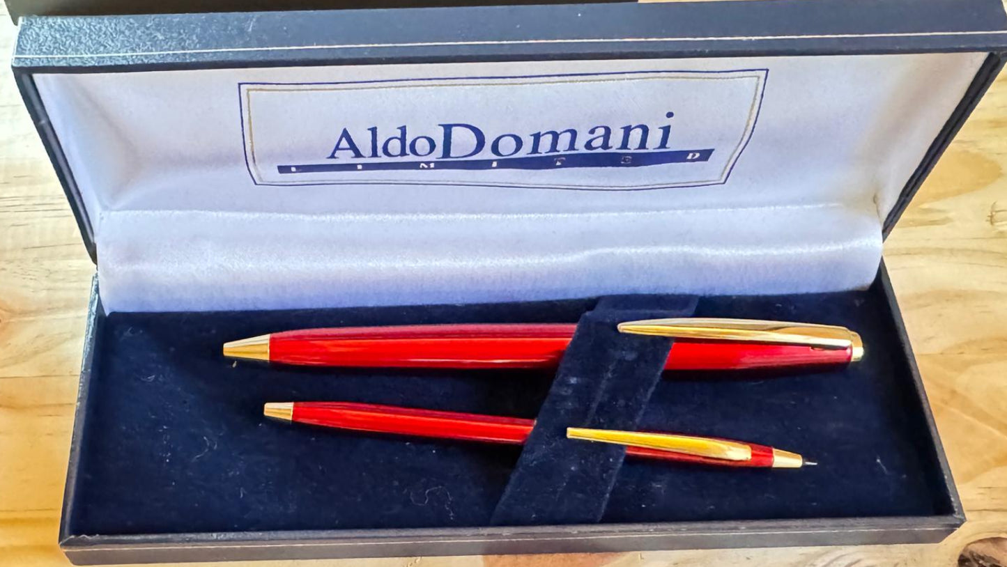 Conjunto de plumas Aldo Domani