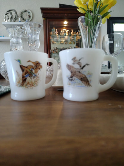 Tazas De Vidrio de Leche