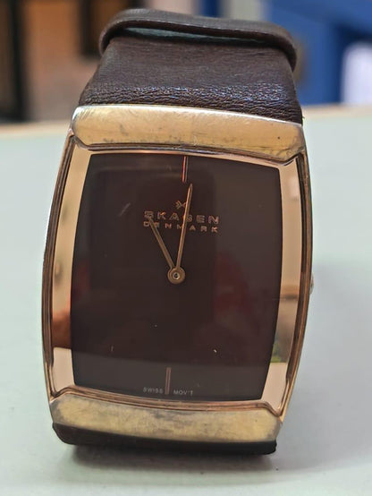 Elegante reloj Skagen para mujer #584LSLM hecho en Dinamarca