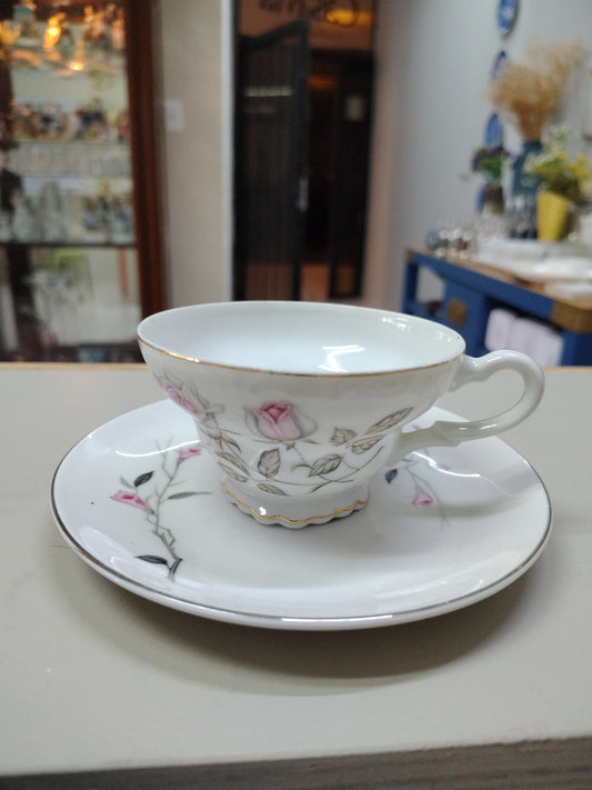 Taza y porcelana de colección Japan