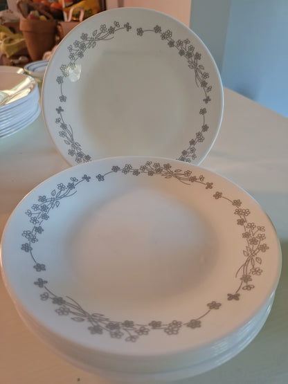 Plato