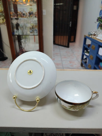 Taza y porcelana de colección Japan