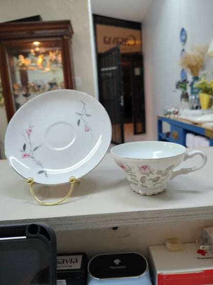 Taza y porcelana de colección Japan