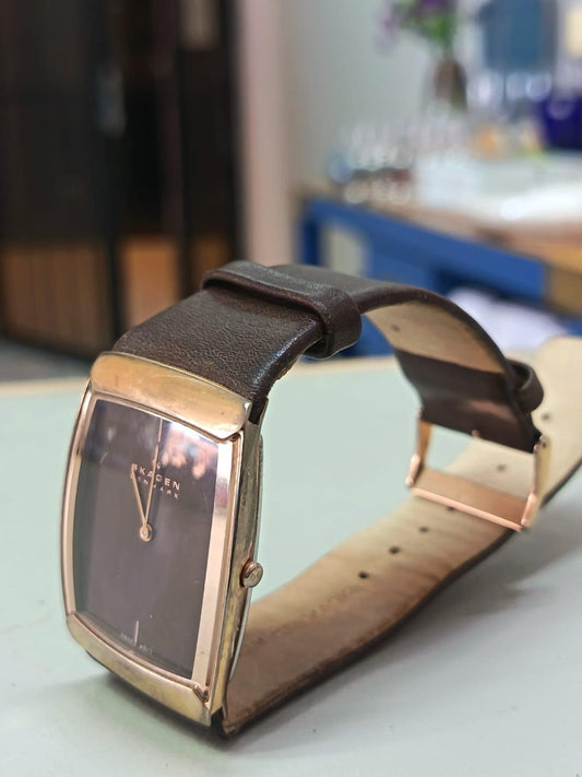 Elegante reloj Skagen para mujer #584LSLM hecho en Dinamarca