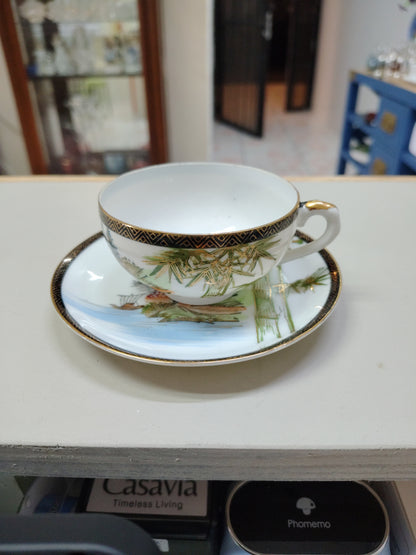 Taza y porcelana de colección Japan